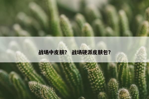 战场中皮肤？ 战场硬派皮肤包？