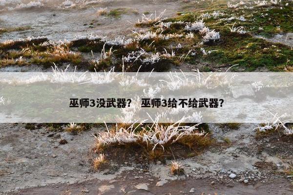 巫师3没武器？ 巫师3给不给武器？