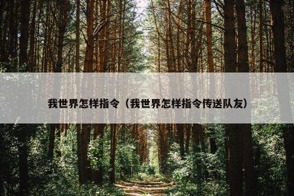 我世界怎样指令（我世界怎样指令传送队友）