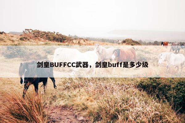 剑皇BUFFCC武器，剑皇buff是多少级