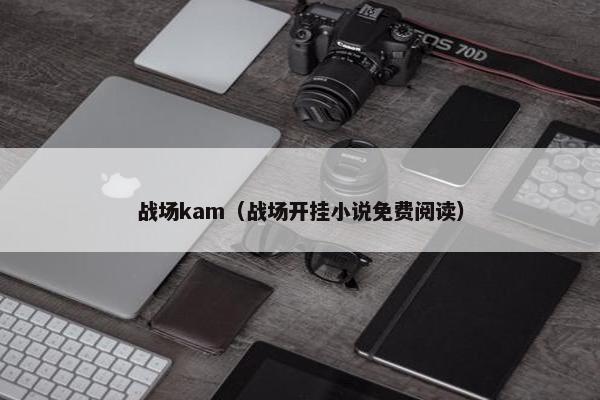 战场kam（战场开挂小说免费阅读）