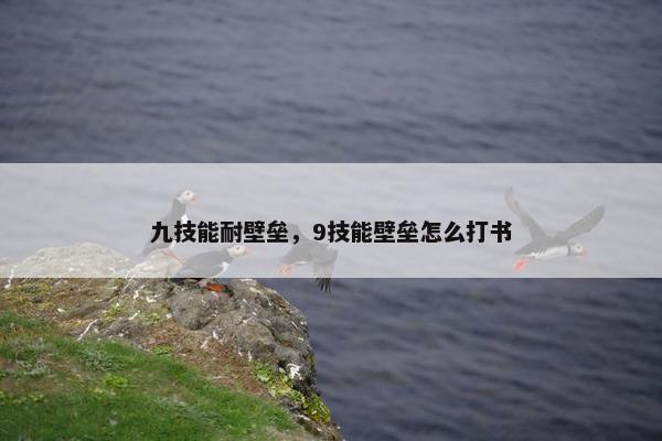 九技能耐壁垒，9技能壁垒怎么打书