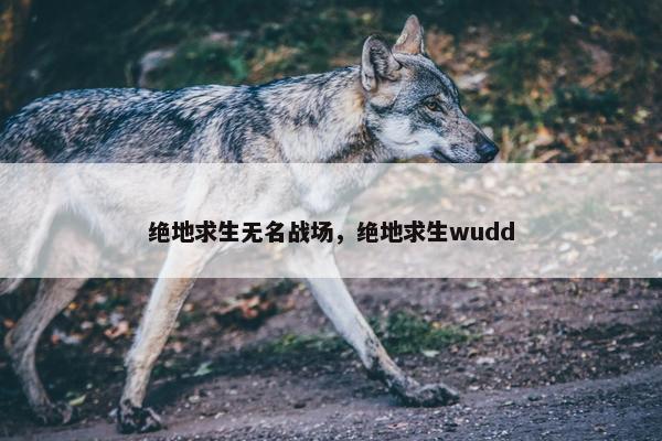 绝地求生无名战场，绝地求生wudd