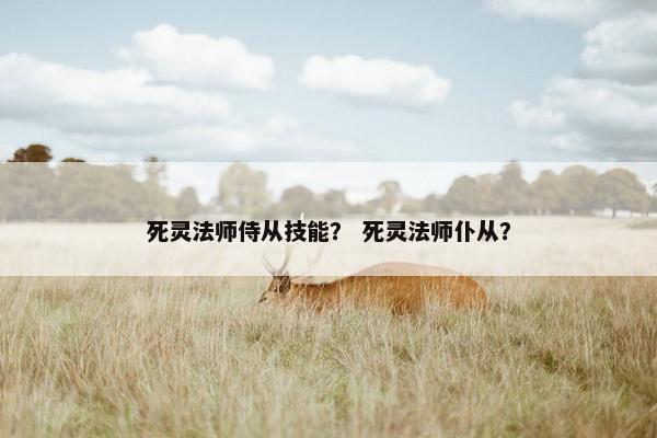 死灵法师侍从技能？ 死灵法师仆从？