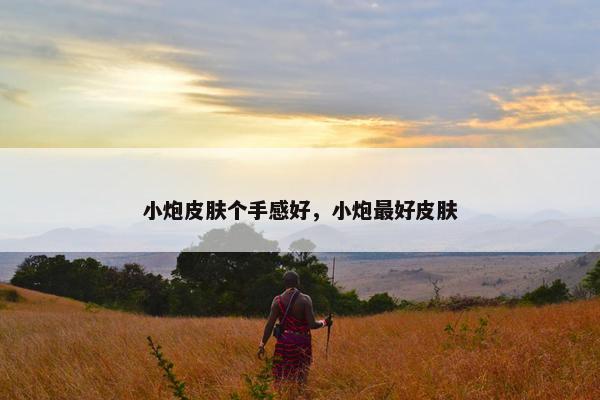 小炮皮肤个手感好，小炮最好皮肤