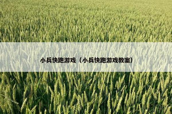 小兵快跑游戏（小兵快跑游戏教案）