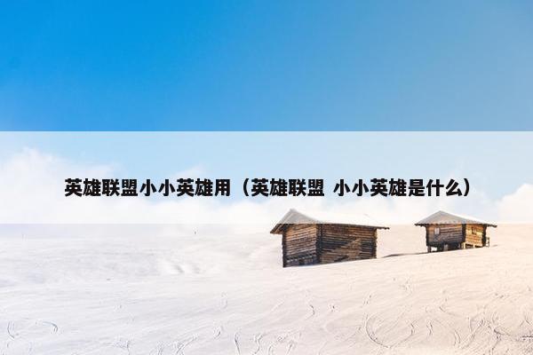 英雄联盟小小英雄用（英雄联盟 小小英雄是什么）