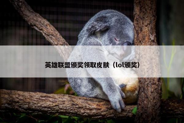 英雄联盟颁奖领取皮肤（lol颁奖）