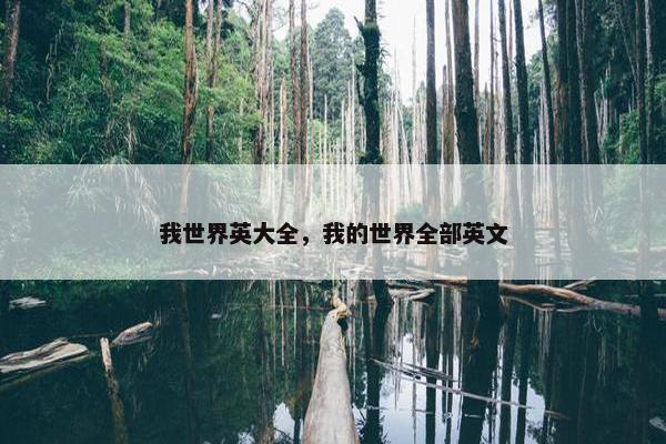 我世界英大全，我的世界全部英文