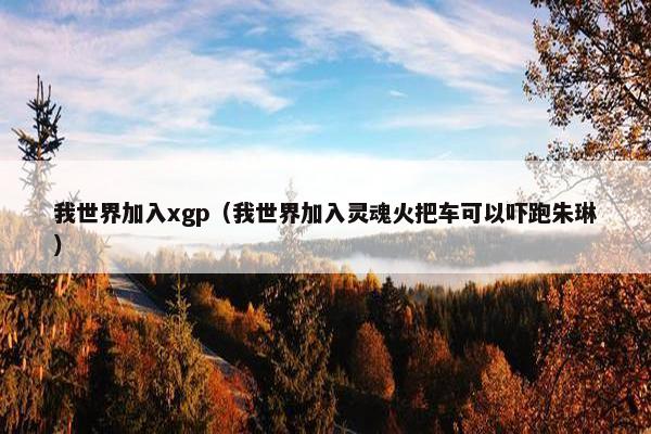 我世界加入xgp（我世界加入灵魂火把车可以吓跑朱琳）