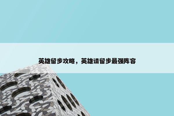 英雄留步攻略，英雄请留步最强阵容