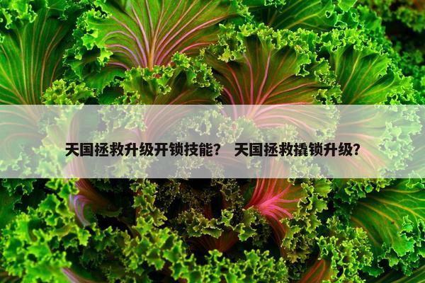 天国拯救升级开锁技能？ 天国拯救撬锁升级？
