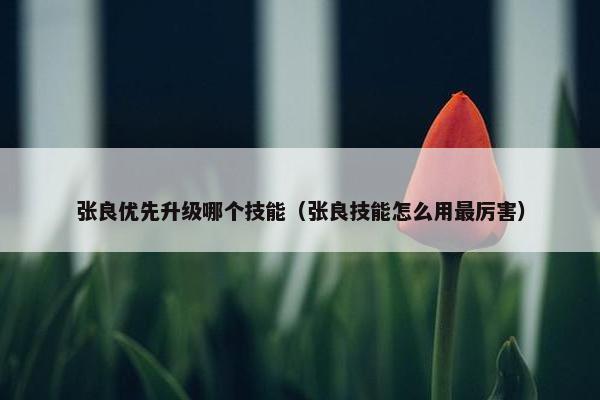 张良优先升级哪个技能（张良技能怎么用最厉害）
