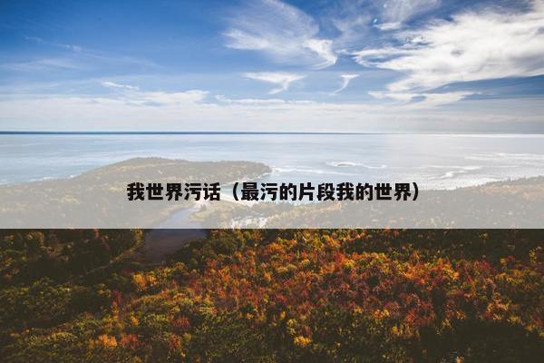 我世界污话（最污的片段我的世界）