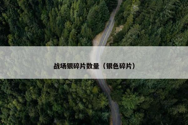 战场银碎片数量（银色碎片）