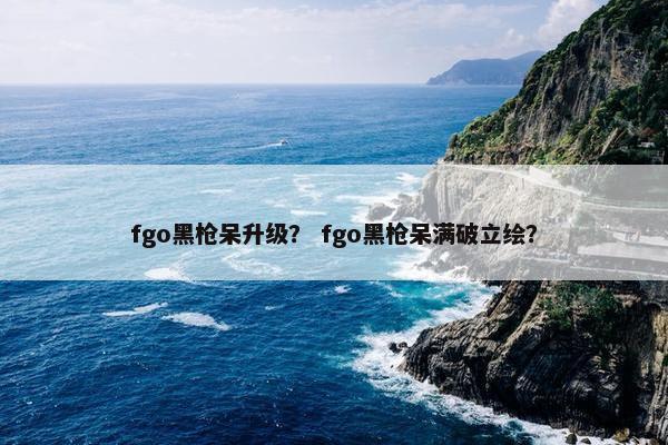 fgo黑枪呆升级？ fgo黑枪呆满破立绘？