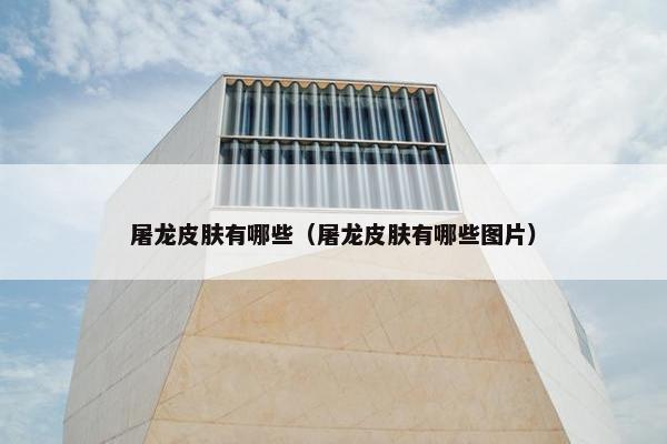 屠龙皮肤有哪些（屠龙皮肤有哪些图片）