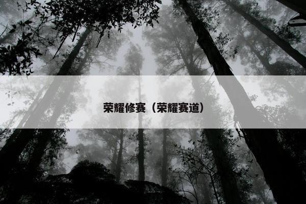 荣耀修赛（荣耀赛道）