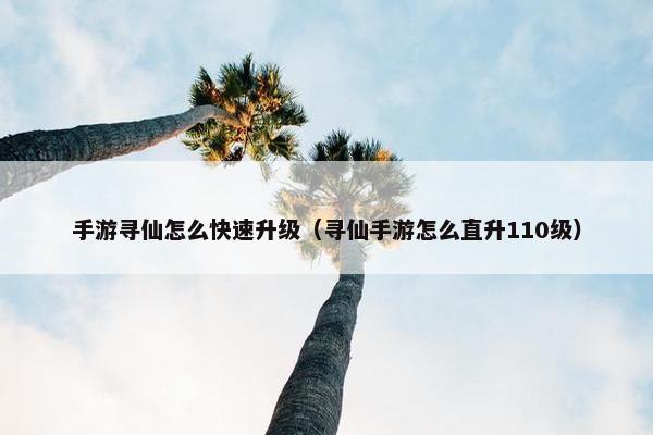 手游寻仙怎么快速升级（寻仙手游怎么直升110级）