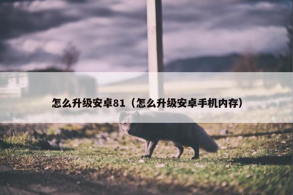 怎么升级安卓81（怎么升级安卓手机内存）