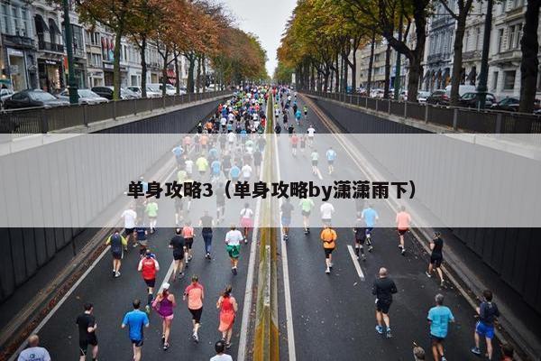 单身攻略3（单身攻略by潇潇雨下）