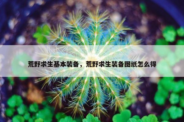 荒野求生基本装备，荒野求生装备图纸怎么得