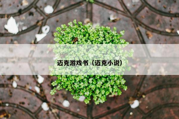迈克游戏书（迈克小说）