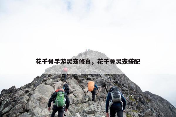 花千骨手游灵宠修真，花千骨灵宠搭配