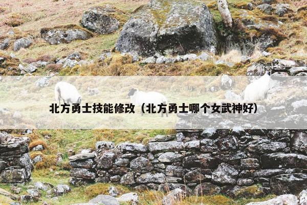北方勇士技能修改（北方勇士哪个女武神好）