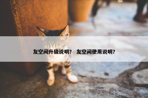 友空间升级说明？ 友空间使用说明？