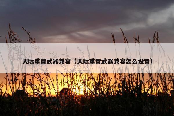 天际重置武器兼容（天际重置武器兼容怎么设置）