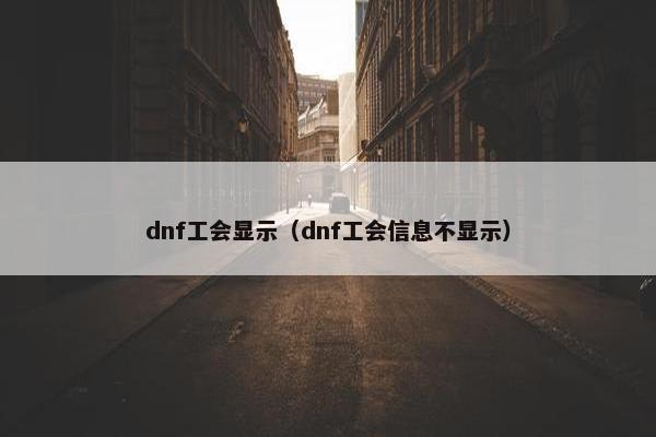dnf工会显示（dnf工会信息不显示）