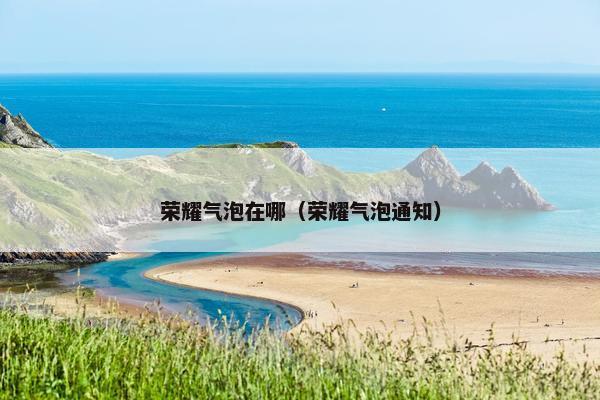荣耀气泡在哪（荣耀气泡通知）