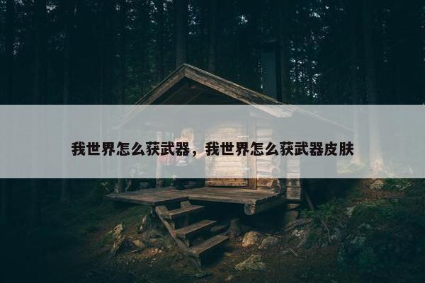 我世界怎么获武器，我世界怎么获武器皮肤