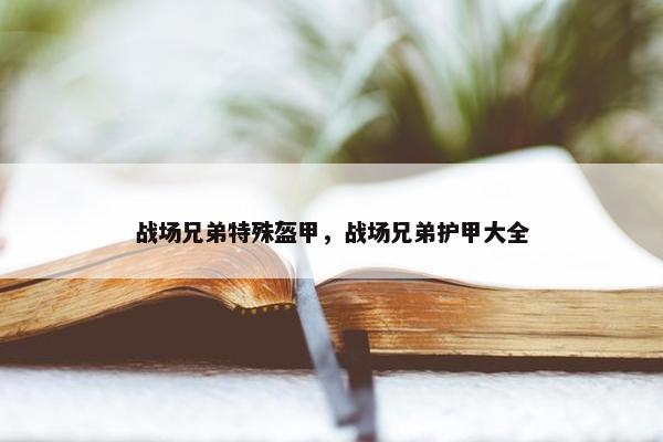 战场兄弟特殊盔甲，战场兄弟护甲大全