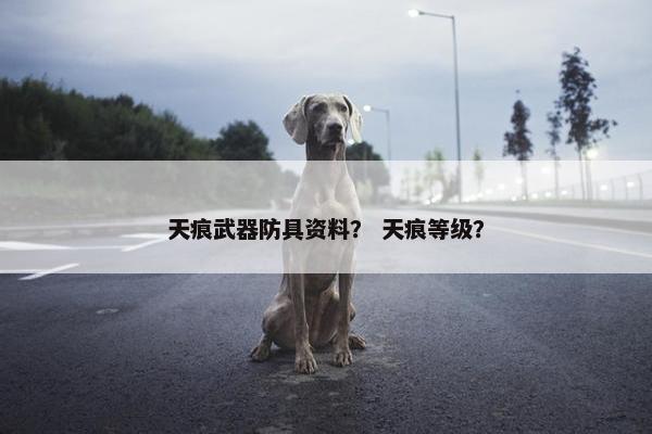 天痕武器防具资料？ 天痕等级？