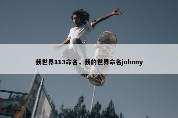 我世界113命名，我的世界命名johnny