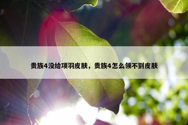 贵族4没给项羽皮肤，贵族4怎么领不到皮肤