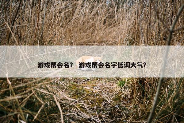 游戏帮会名？ 游戏帮会名字低调大气？
