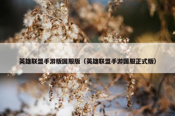 英雄联盟手游版国服版（英雄联盟手游国服正式版）