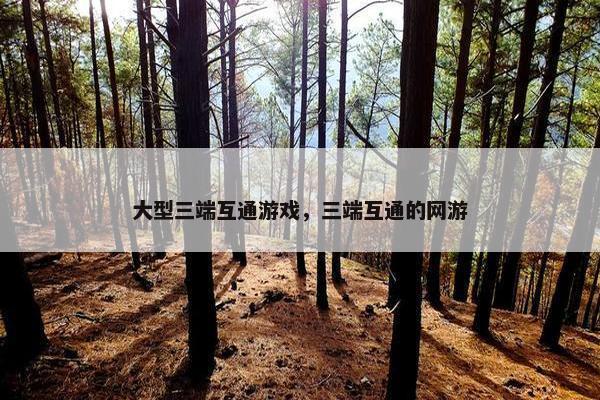 大型三端互通游戏，三端互通的网游