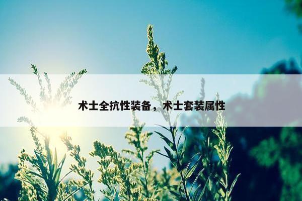 术士全抗性装备，术士套装属性