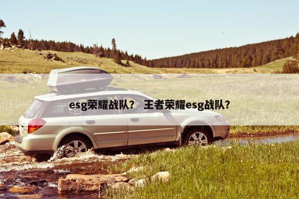 esg荣耀战队？ 王者荣耀esg战队？