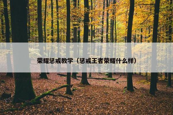 荣耀惩戒教学（惩戒王者荣耀什么样）