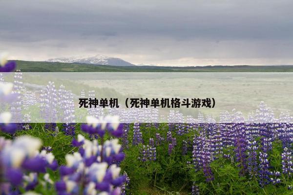 死神单机（死神单机格斗游戏）