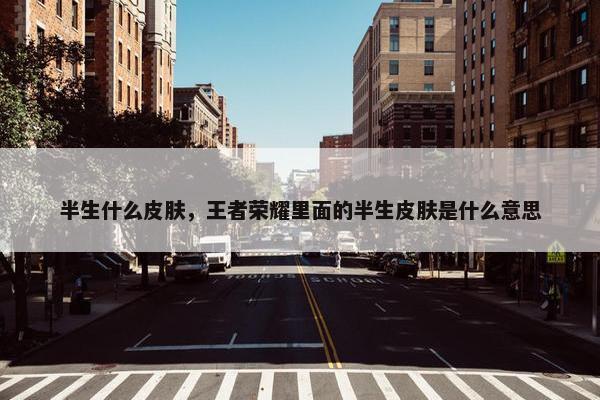 半生什么皮肤，王者荣耀里面的半生皮肤是什么意思