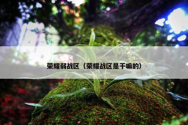 荣耀弱战区（荣耀战区是干嘛的）