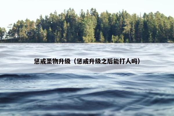 惩戒圣物升级（惩戒升级之后能打人吗）
