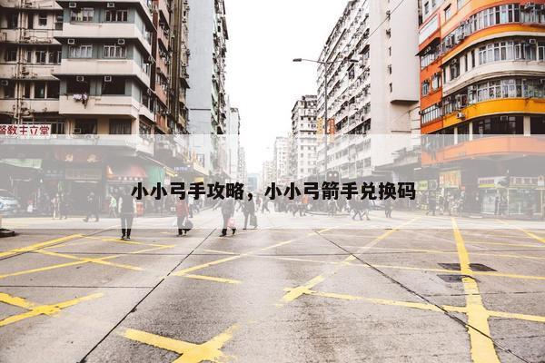 小小弓手攻略，小小弓箭手兑换码