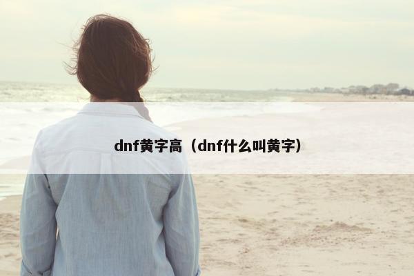 dnf黄字高（dnf什么叫黄字）